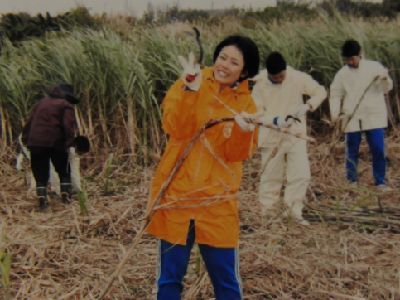 小雨の中であっても、初めてのキビ狩りは苦じゃないぞ。